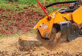 Best Aeration Services  in Susan Moore, AL