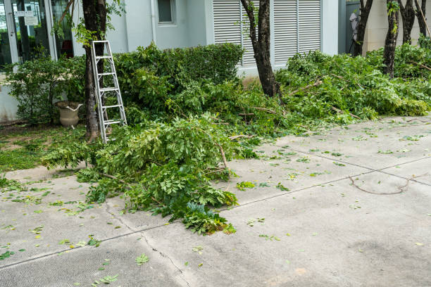 Best Tree and Shrub Care  in Susan Moore, AL